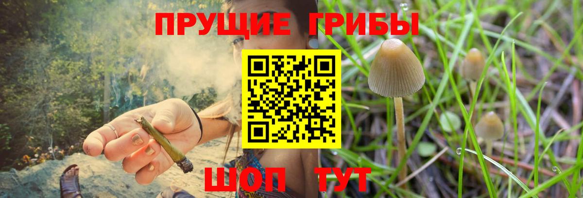 MDMA Гатчина