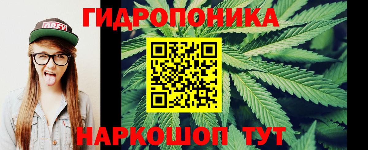Канабис OG Kush  Вход с VPN  Гатчина  Каннабис марихуана 